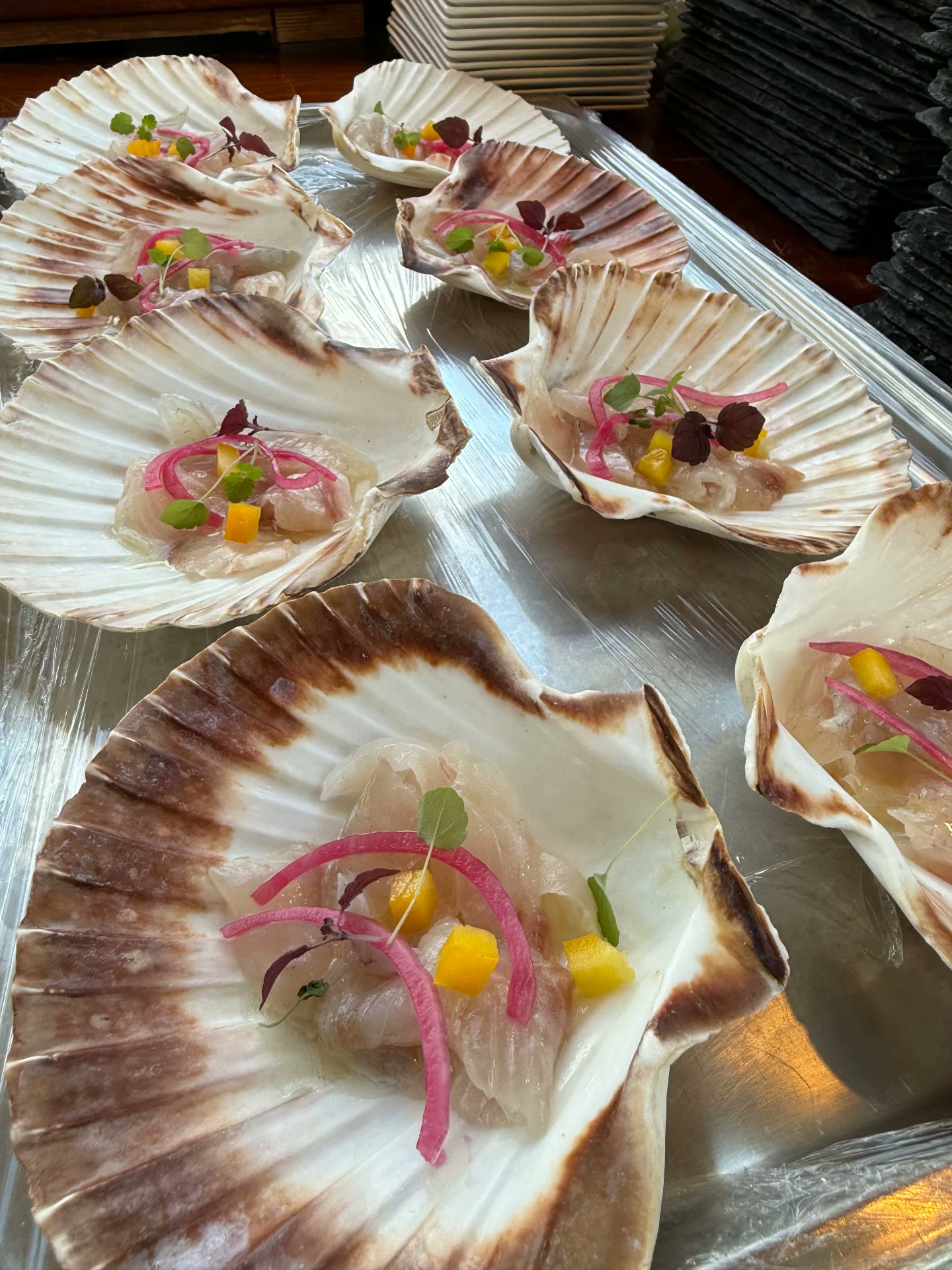 Ceviche in Sint-jakobsschelp